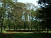 DSCN5878.jpg DSCN5878.jpg